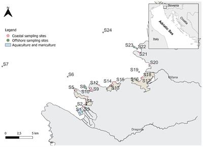 Differences in distribution and characteristics of microplastics in sediments of the south-eastern part of the Gulf of Trieste